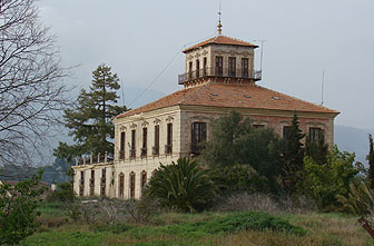 Huerto de los Gray