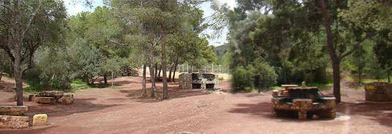 Ver foto 3