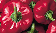 Piment�n