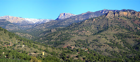 Ver foto 2