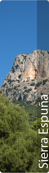 Sierra Espu�a