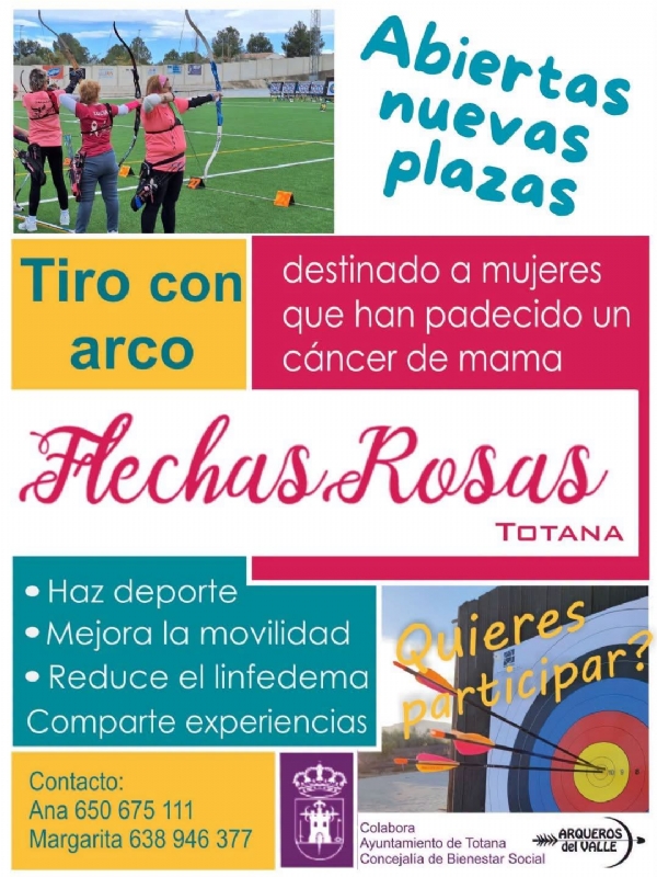 FLECHAS ROSAS. TIRO CON ARCO. - 1