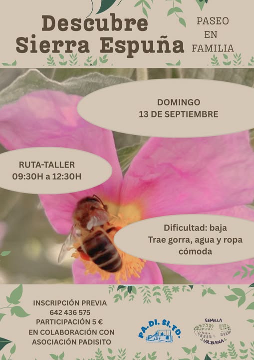 DESCUBRE SIERRA ESPUÑA. Ruta en familia. - 1