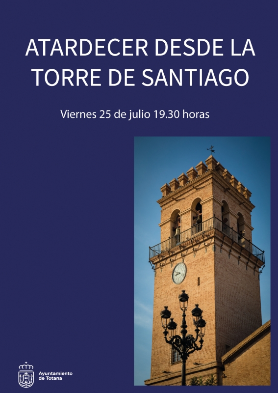 ATARDECER DESDE LA TORRE DE SANTIAGO - 1