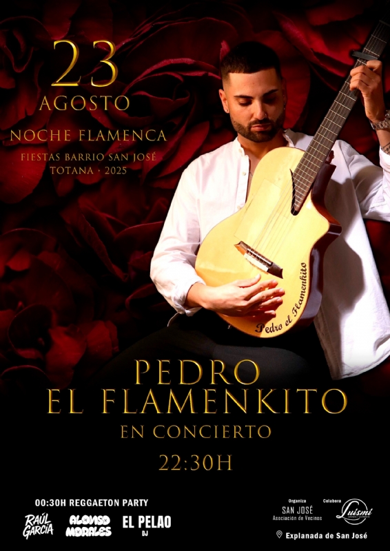 PEDRO EL FLAMENKITO EN CONCIERTO  - 1