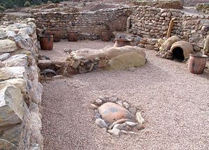 Visita guiada a La Bastida, la Troya de Occidente - 1