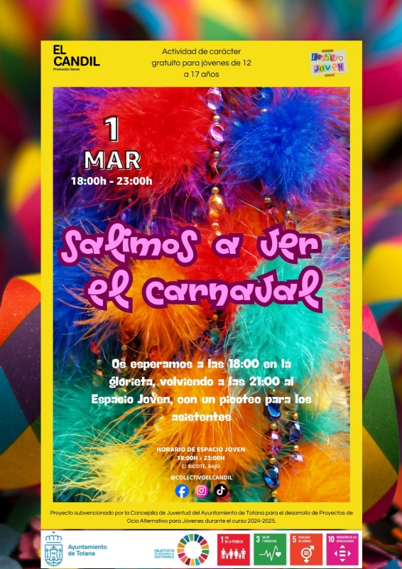 SALIMOS A VER EL CARNAVAL , PROYECTO DE DINAMIZACIÓN JUVENIL ESPACIO JOVEN - 1