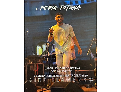 CONCIERTO: AIRE FLAMENCO