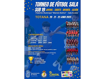 TORNEO DE FÚTBOL TORNEO DE FÚTBOL