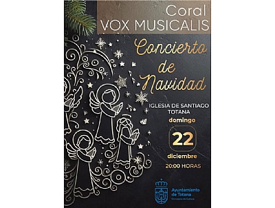 CONCIERTO DE NAVIDAD