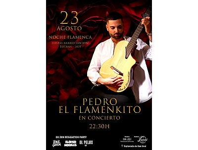 PEDRO EL FLAMENKITO EN CONCIERTO 