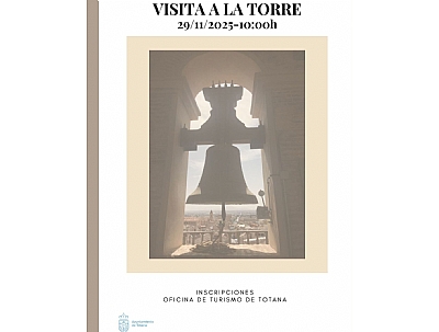 Visita a la Torre de la Iglesia