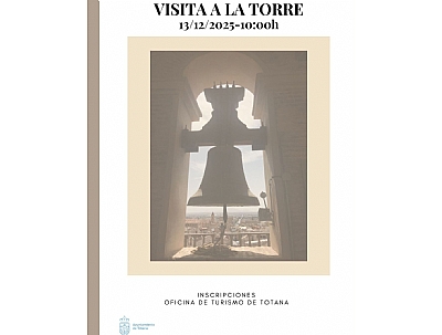 Visita a la Torre de la Iglesia