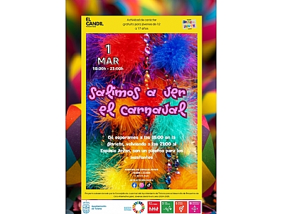 SALIMOS A VER EL CARNAVAL , PROYECTO DE DINAMIZACIÓN JUVENIL ESPACIO JOVEN