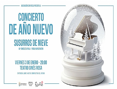 Concierto de Año Nuevo 